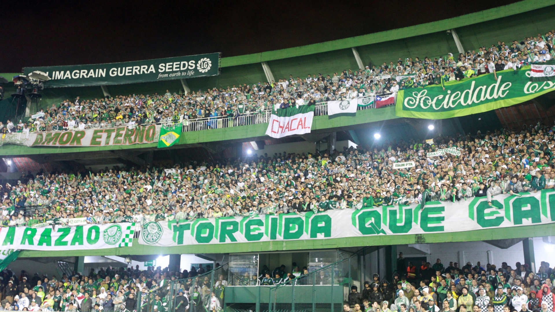 Somos a Mancha Verde a mais temida - [LEGENDADO] Canto da Torcida do  Palmeiras 
